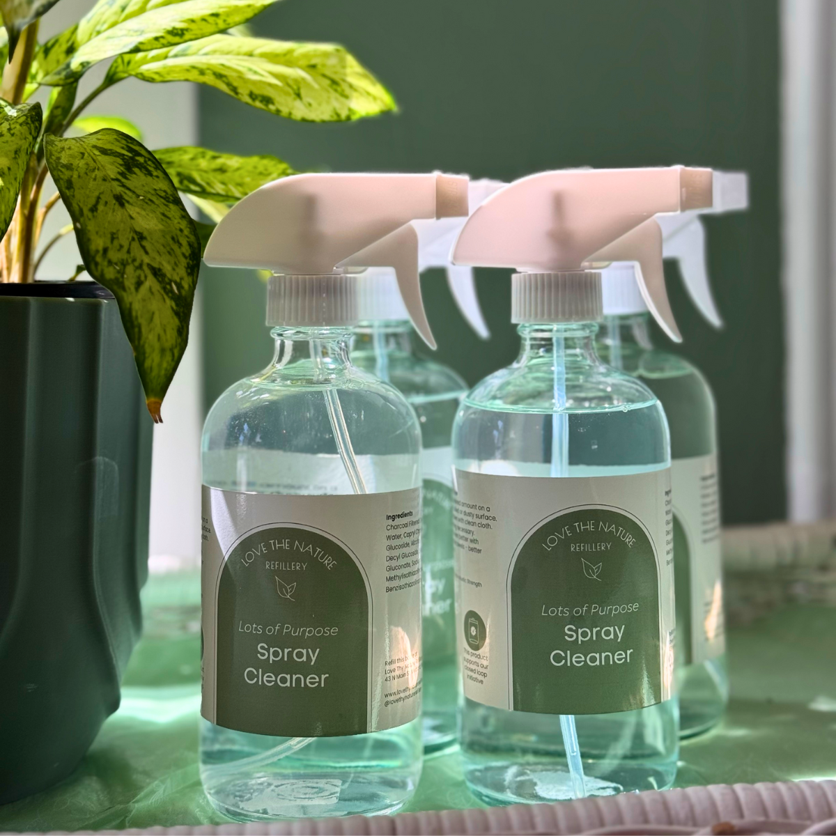 Spring Cleaning The Healthy Way | April 25 Medford Living Magazine