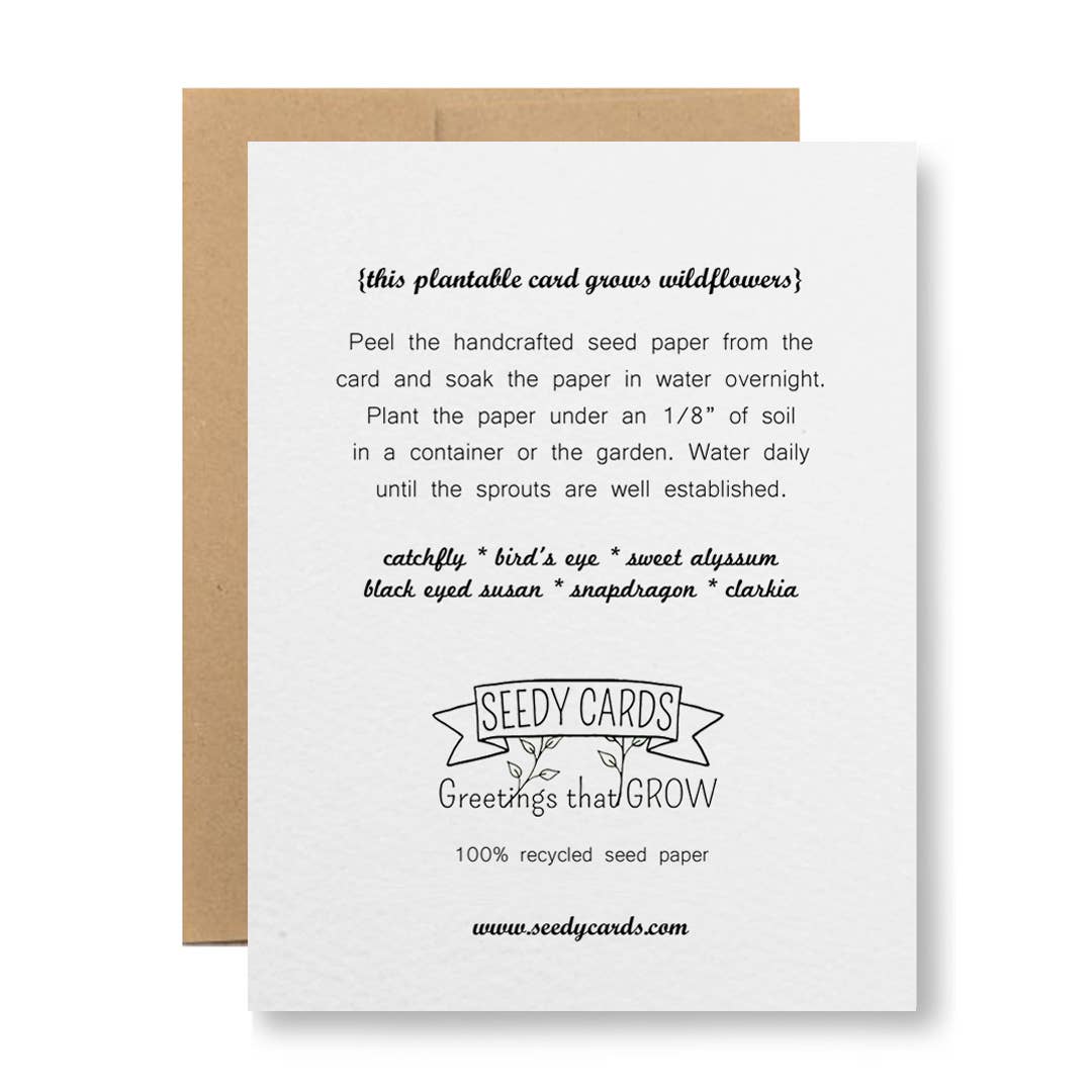 Plantable Seed Paper Greeting Card | Happy Father's Day