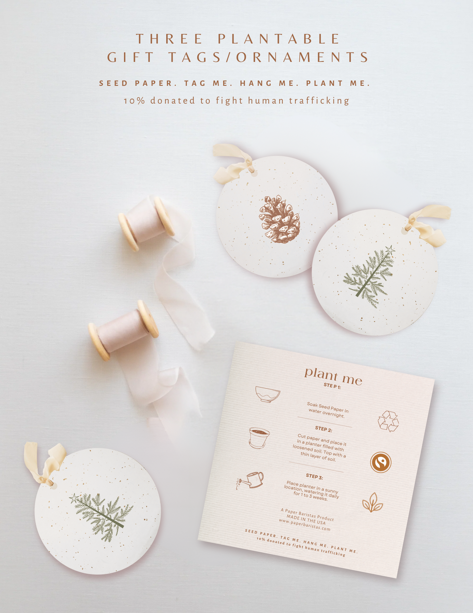 Plantable Seed Gift Tags / Ornaments CHAMPAGNE FLUTES