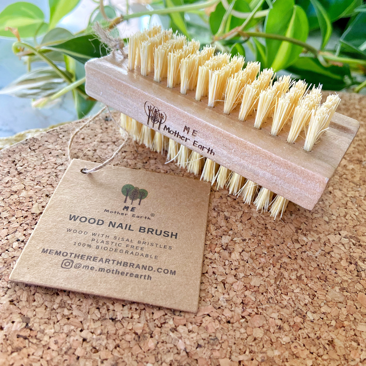 Nail Brush