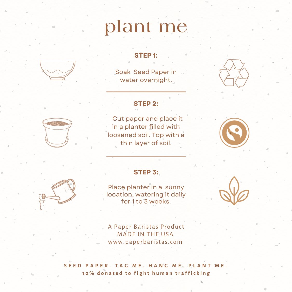 Plantable Seed Gift Tags / Ornaments CHAMPAGNE FLUTES
