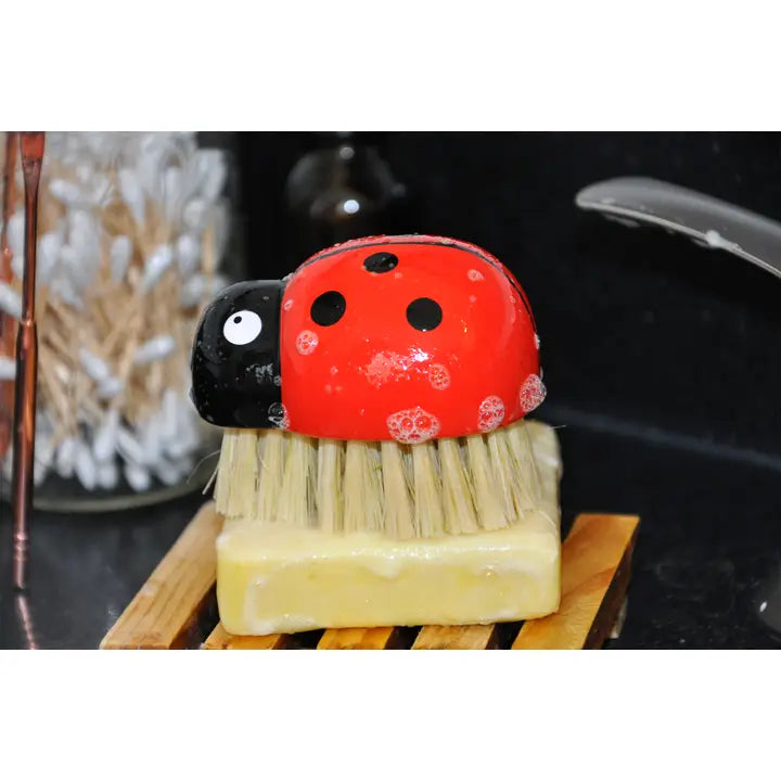 Lady Bug Cleaning Brush